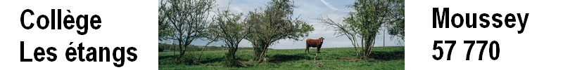 Galerie de portraits de la grande ruralité