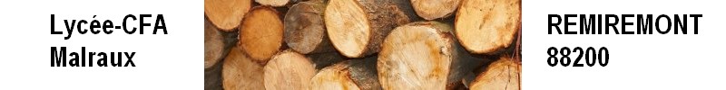 Seconde professionnelle indifférenciée Métiers du bois
