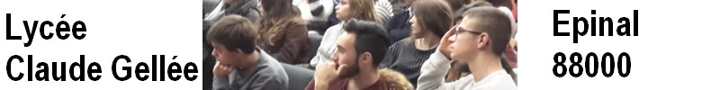 L’enfant intellectuellement précoce, un enjeu éducatif