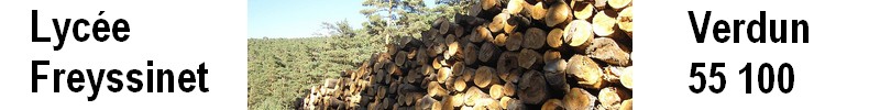 Seconde indéterminée génie bois