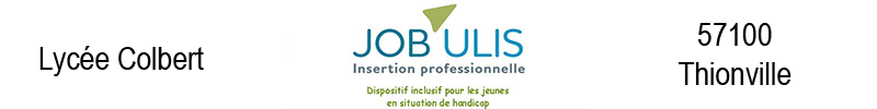 JOB’ULIS dispositif d’insertion professionnelle pour les jeunes en situation de handicap