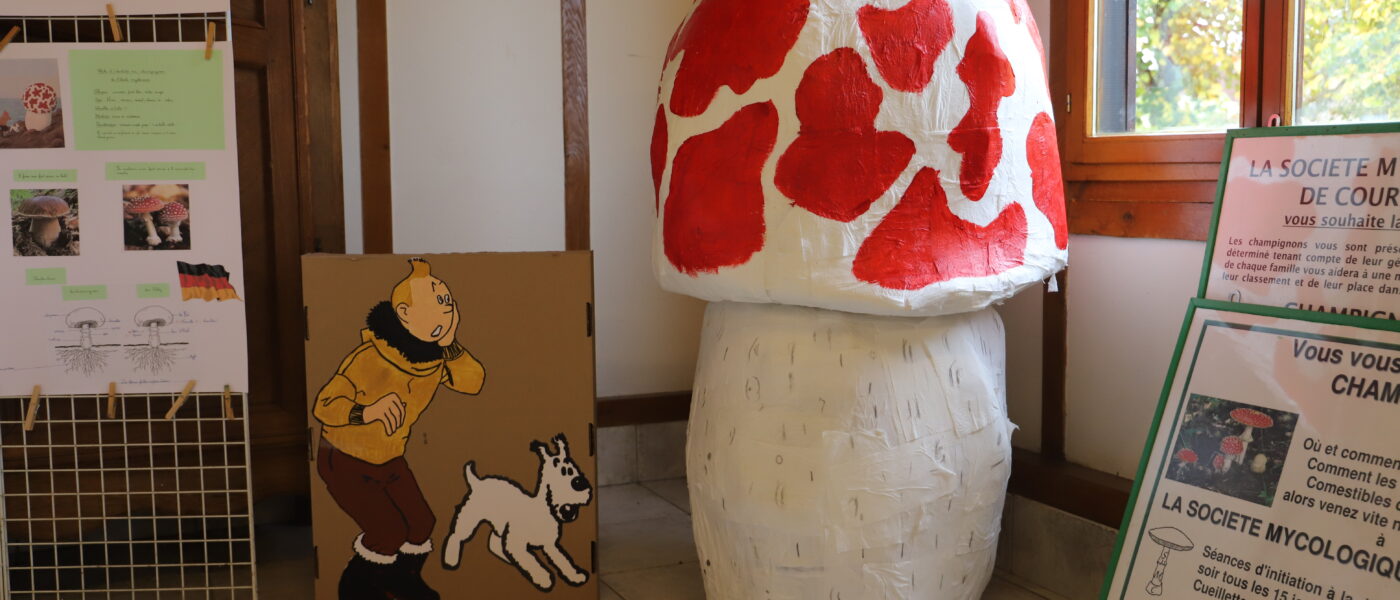 Les écoles au cœur de la forêt d’Argonne