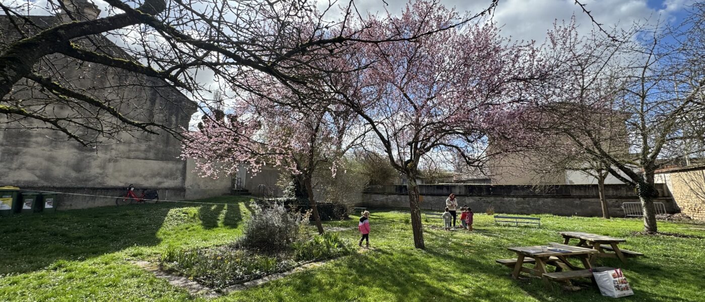 Apprendre autrement : la classe dehors