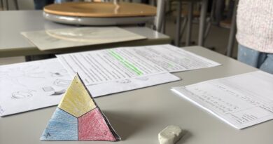 « Ça y est, je viens de comprendre ! » : quand l’entraide fait apprendre