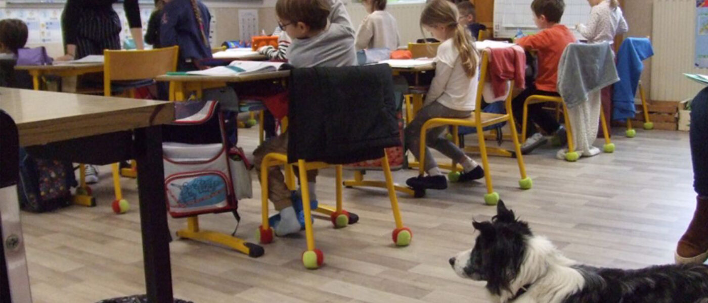 Oria, une présence apaisante au cœur de l’école Oria, une présence apaisante au cœur de l’école